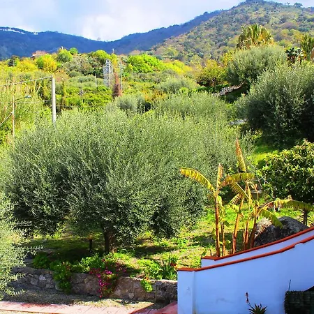 Locazione Turistica Clara Con Vista Mare Holiday home Joppolo